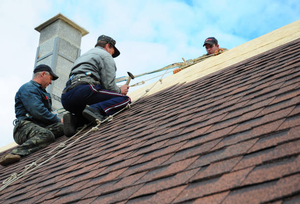 Best Roof Waterproofing Services  in Delphi, IN